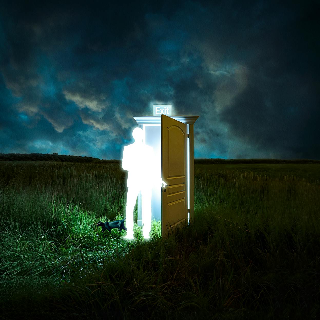 All My Glows Have Grown Exit Signs